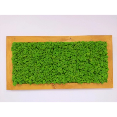 Machový obraz 60cm x 120cm