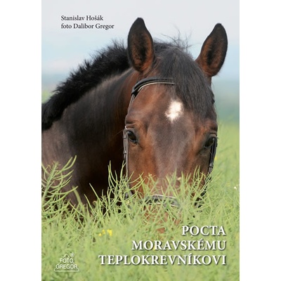 Pocta moravskému teplokrevníkovi