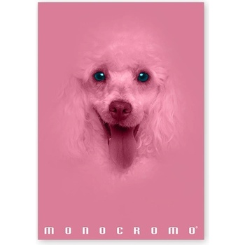 Pigna Monocromo Pink A4, 38 листа, с телбод, с подвързия P1111-1292 (P1111-1292)