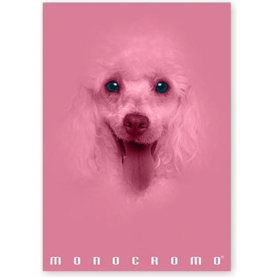 Pigna Monocromo Pink A4, 38 листа, с телбод, с подвързия P1111-1292 (P1111-1292)
