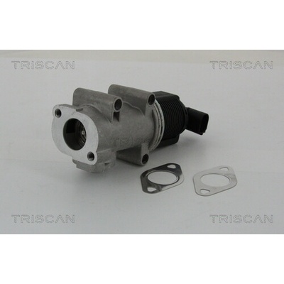 AGR - Ventil TRISCAN 8813 10005