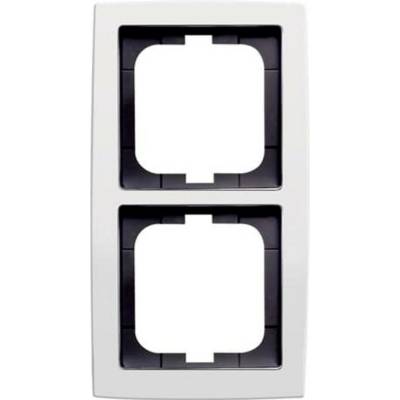 Busch-Jaeger 2CKA001754A4110