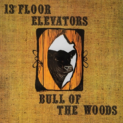 13Th Floor Elevators - Bull Of The Woods (Reissue) (Half-Speed Mastered) LP