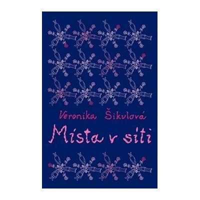 Místa v síti - Veronika Šikulová