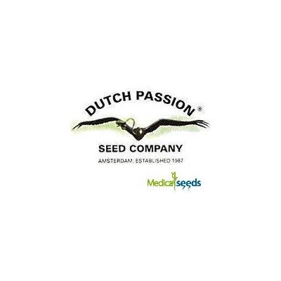Dutch Passion CBG-Force AUTO semena neobsahují THC 3 ks