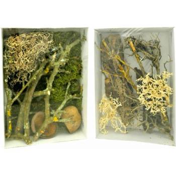 Lucky Reptile Deco Set Mantis