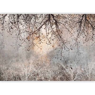 Murando Vliesová fototapeta moderní, odstíny hnědé a béžové, 350x256 cm