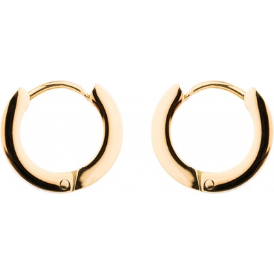 Franco Bene Mini náušnice pozlacené 2294