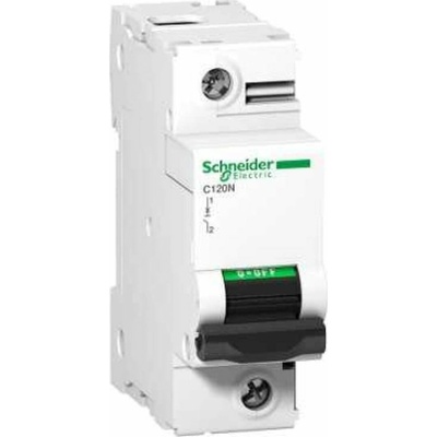 Schneider Electric 1P C 80A 10kA AC C120N A9N18357