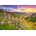Castorland - Puzzle Harebells at Sunrise - 500 piese