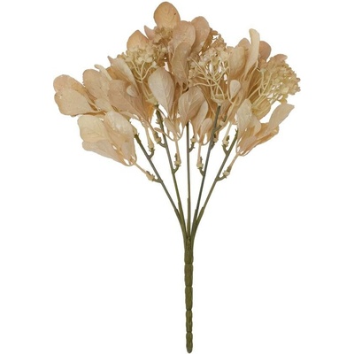 ZELEŇ DROB. LÍSTKY BLEDO-HNEDÁ 28CM
