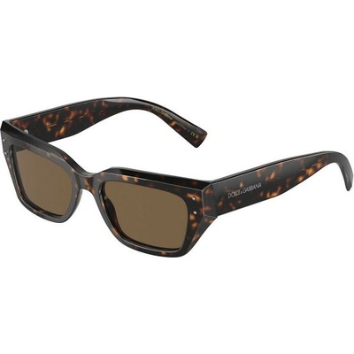 Dolce & Gabbana DG4462 502 73