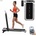 Halofit Vela