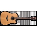 Elektroakustické kytary Ibanez AW65ECE LG