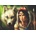 Anatolian - Puzzle Wolf and his lady - 500 piese