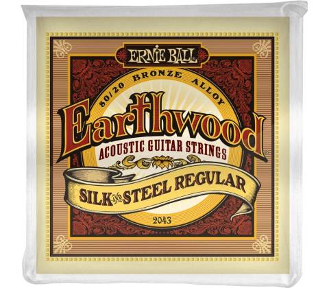Ernie Ball 2043