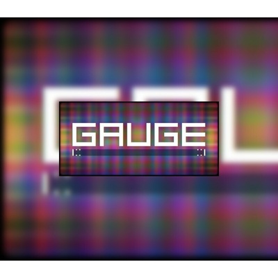 Gauge