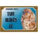 Dafiko Tabulka Kavalier king charles španěl