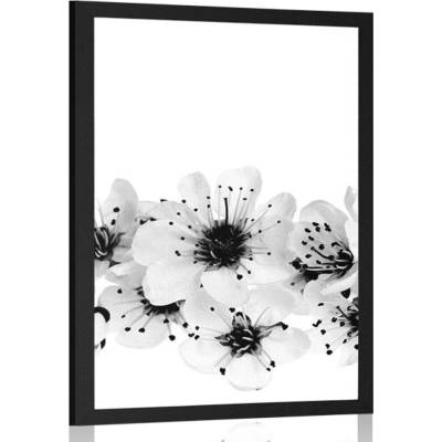 Plakát třešňové květy v černobílém provedení - 30x45 white