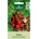 Seklos Ягоди Рюген Fragaria vesca L