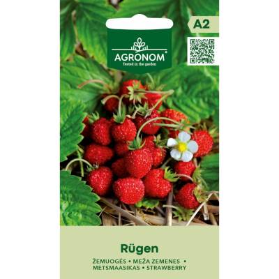 Seklos Ягоди Рюген Fragaria vesca L