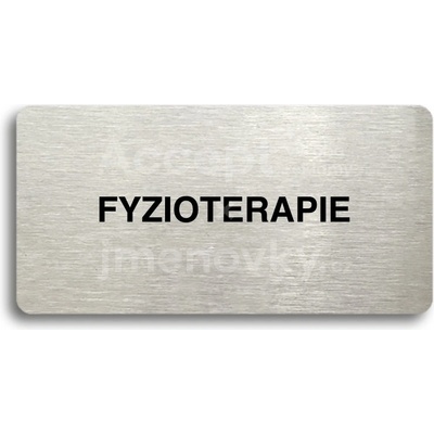 ACCEPT Piktogram FYZIOTERAPIE - stříbrná tabulka - černý tisk bez rámečku