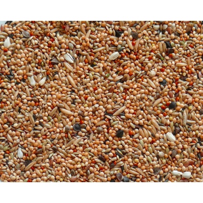 Avicentra Neoféma 1kg
