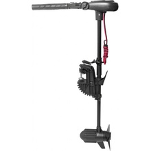 Haswing 1.0 65LB 12V