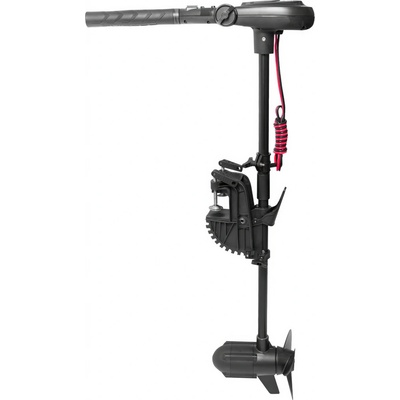 Haswing 1.0 65LB 12V