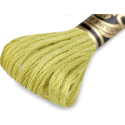Vyšívací příze DMC Mouliné Spécial Cotton Varianta: 3819 zelená neon světlá, Balení: 1 ks 27729/15784/176549