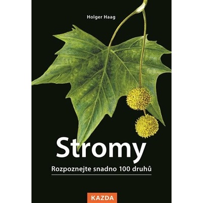 Stromy