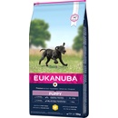 Eukanuba Puppy Large Breed kuracie 2 x 15 kg