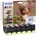 Epson T379D