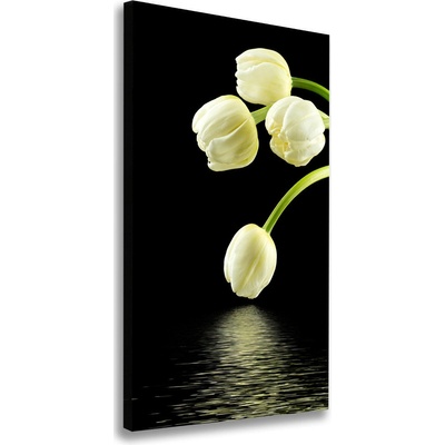Vertikálny foto obraz na plátne Biele tulipány 50x100 cm