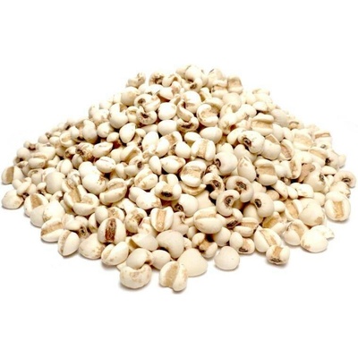Bylík Slzovka semeno 500 g