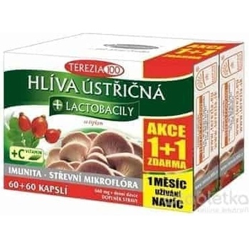 Terezia Company Hliva Ustricová + lactobacily kapsúl 60+60