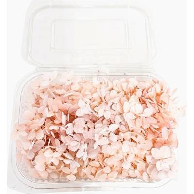 Stabilizovaná hortenzie CABEZA soft pink KVĚTY 15g