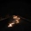 BOB MOSES - BATTLE LINES -GATEFOLD- LP