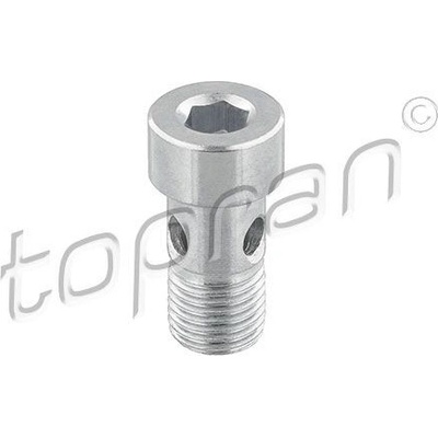Dutý šroub TOPRAN 118 522