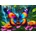 Enjoy - Puzzle Butterfly in the Forest - 1 000 piese