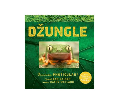 Džungle