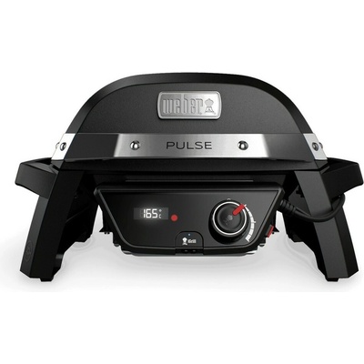 Weber PULSE 100