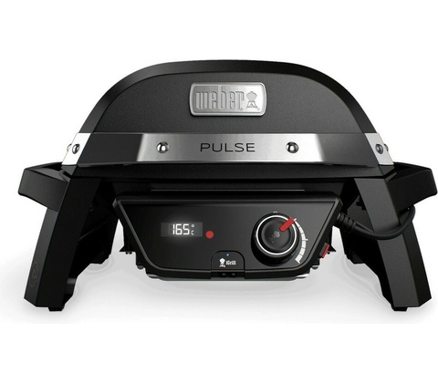 Weber PULSE 100