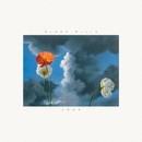 MILLS, BLAKE - LOOK LP