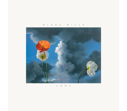 MILLS, BLAKE - LOOK LP