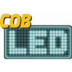 TOYA HEADLIGHT 800LM AKU, 1.5-5H, movement part