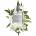 Chabaud Innocente Fragilite EDP 100 ml