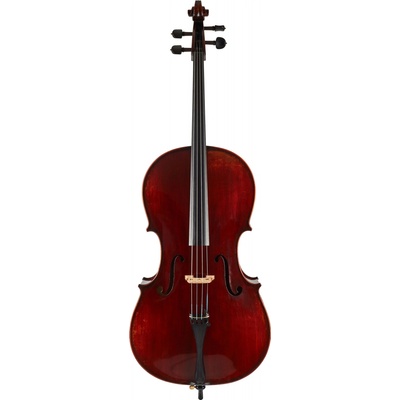 Eastman Amsterdam Atelier 1 Series 4/4 Cello – Zboží Mobilmania