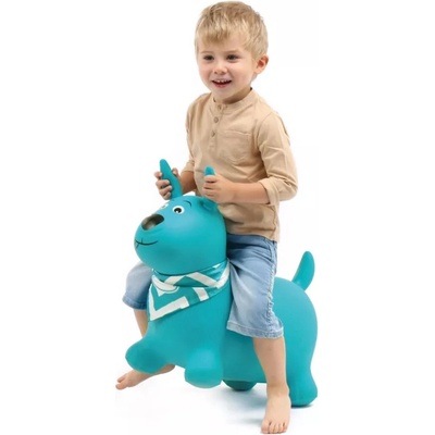 Ludi Skákací pes tyrkys