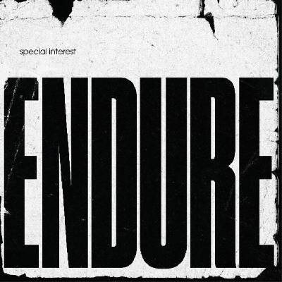Special Interest - Endure (Limited Edition) (LP) (0191402030310)